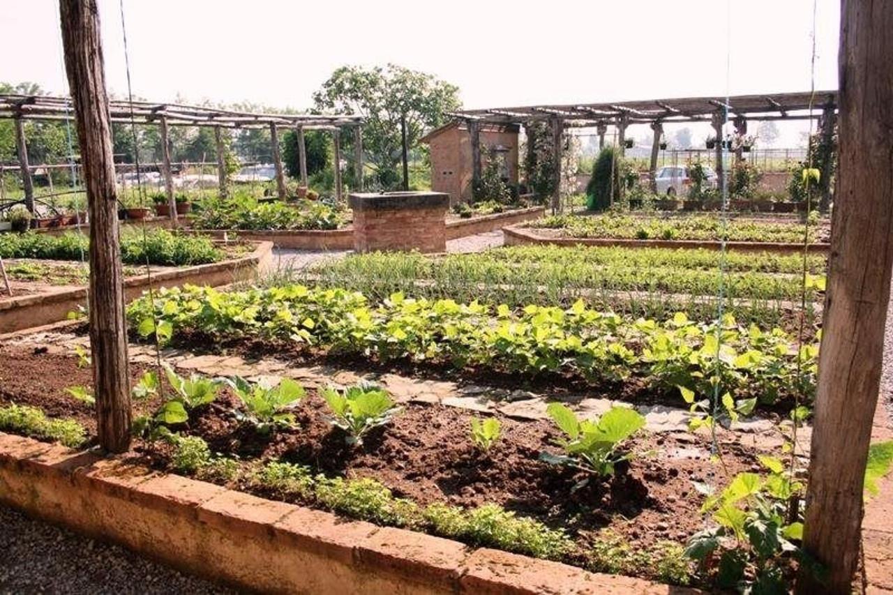 The botanical garden next to the farmhouse